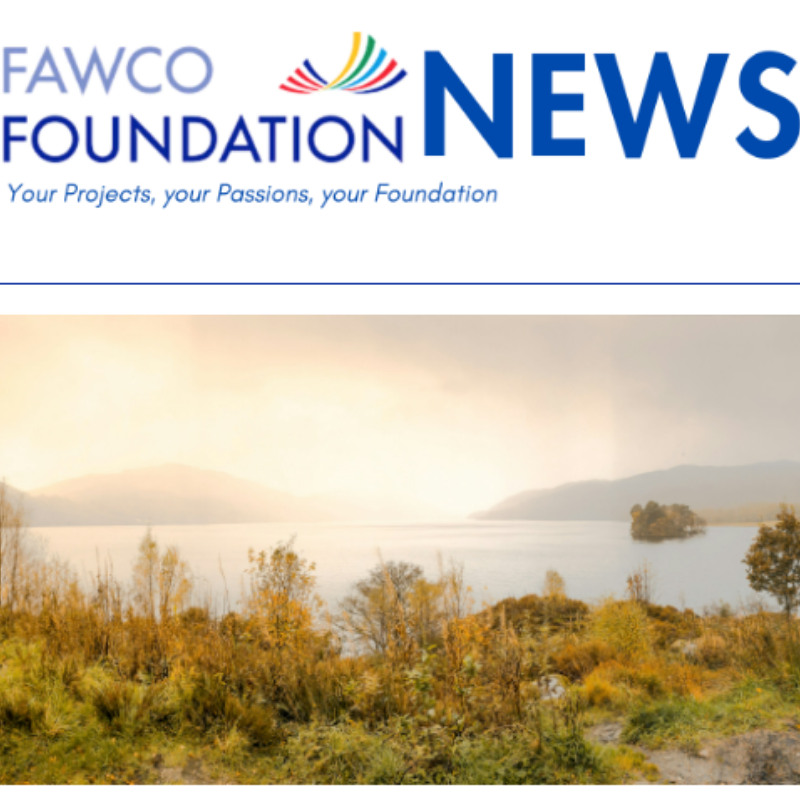 October 2024 Fall NEWS